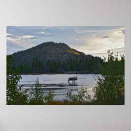 Póster Alce macho, Amanecer, Lago Sprague, Colorado