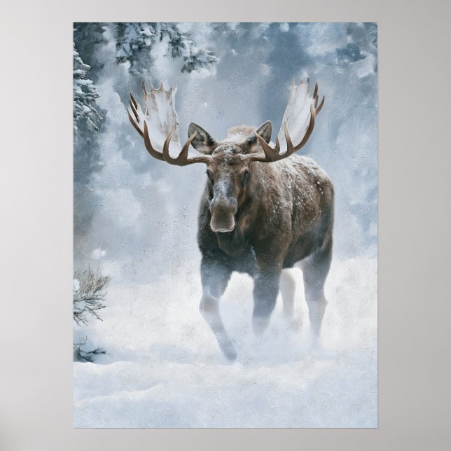 Póster Alce Macho Caminando a Través de la Nieve Boreal (Frente)