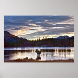 Póster Alce macho en Sprague Lake, Colorado