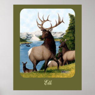 Póster Alce Wapiti
