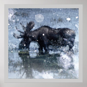 Póster Alces rústicos del toro de la fauna del desierto