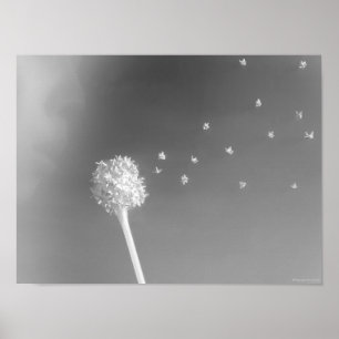 Póster Alcohol del viento