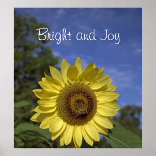 Póster Alegre y brillante girasol perfecto en cielo azul.