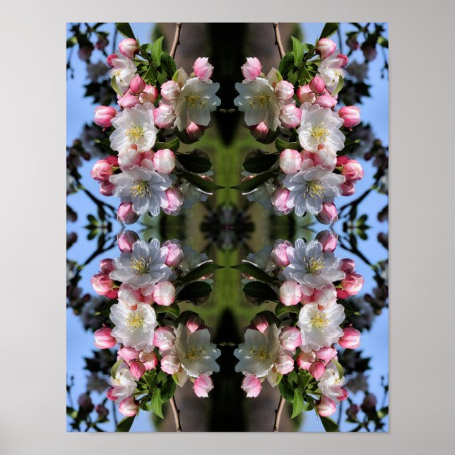 Póster Alegres flores de crabapple de primavera resumen (Frente)