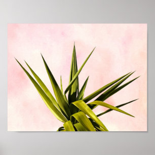 Póster Alegría de sueños