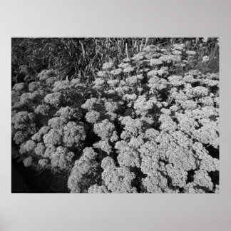 Póster Alegría del otoño (B&W)