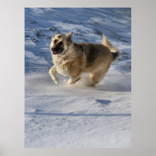 Póster Alegría en movimiento