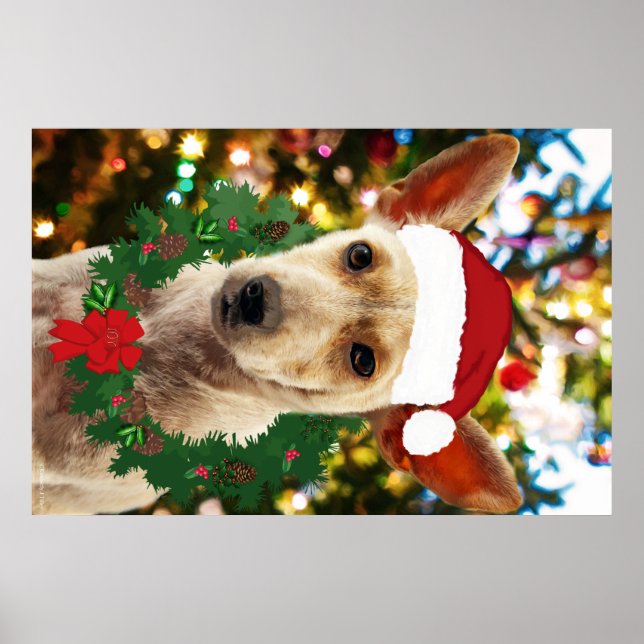 Póster Alegría por el cachorro (Frente)