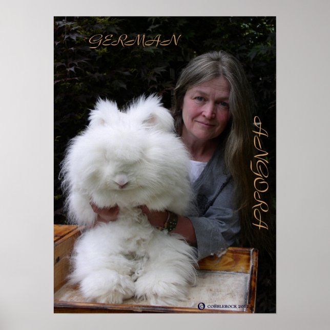 PÓSTER ALEMÁN ANGORA RABBIT AÑADIÓ POSTER (Frente)