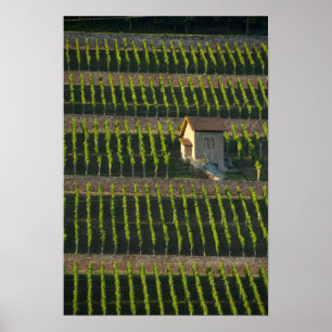 Póster Alemania, Franconia, Wertheim. Ladera trasera espe