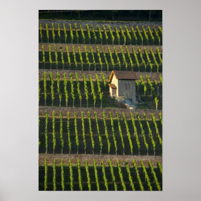 Póster Alemania, Franconia, Wertheim. Ladera trasera espe (Frente)