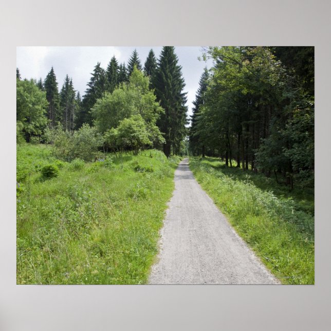 Póster Alemania, Turingia, sendero en el bosque (Frente)
