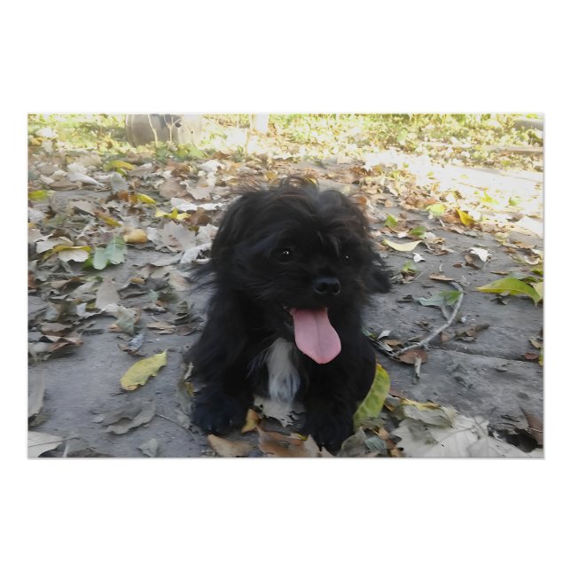 Póster Alerta de Cachorro Adorable (Anverso)