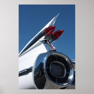 Póster Aleta de cola