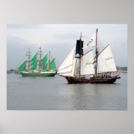 Póster Alexander Von Humboldt II y Atyla