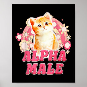 Póster Alfa Masculino Gato Gato Gatito Gracioso Para Homb