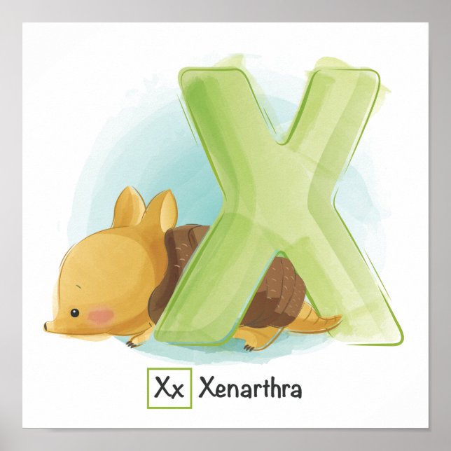 Póster Alfabeto animal (Frente)