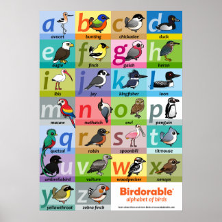 Póster Alfabeto de aves que se puede conservar en el mar
