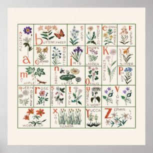 Póster Alfabeto de berenjena de flores silvestres de esti