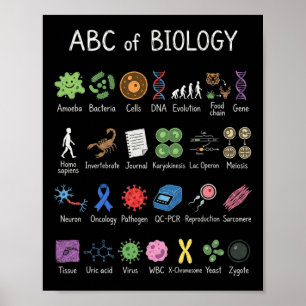 Póster Alfabeto de Biología Educación Científica Profesor