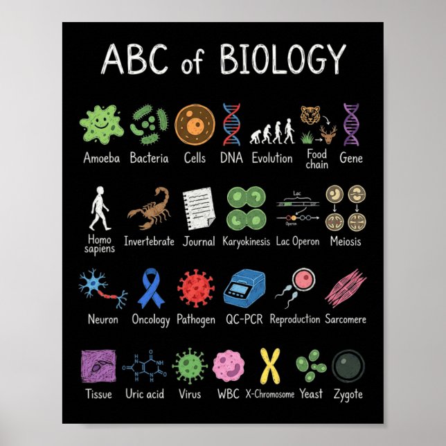Póster Alfabeto de Biología Educación Científica Profesor (Frente)