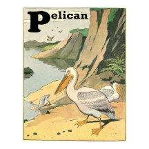 Alfabeto del libro de historias pelicano