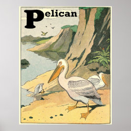 Póster Alfabeto del libro de historias pelicano