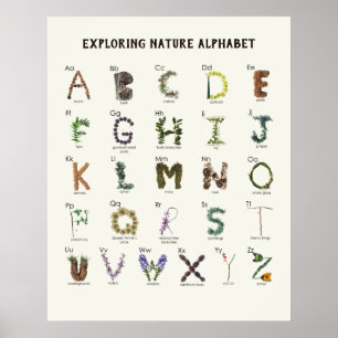 Póster Alfabeto explorando la naturaleza   Guardería ABC 