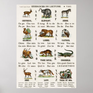 Póster Alfabeto Y Números Franceses Vintage