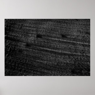 Póster Alfombra de área blanca y negra