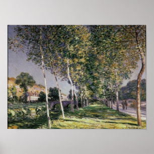 Póster Alfred Sisley el   el paseo