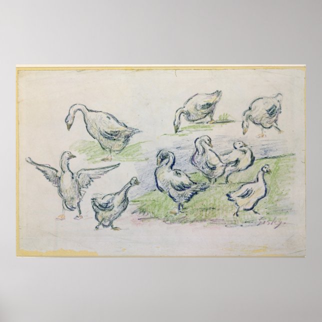 Póster Alfred Sisley | Patos (Frente)