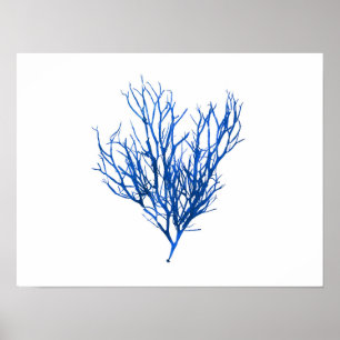 Póster Alga marina azul #10 42x32 cm