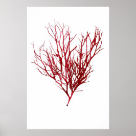 Póster Algas marinas apretadas por Henry Bradbury Noveno