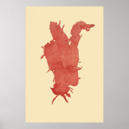 Póster Algas Presionadas Original Segundo De Cuatro