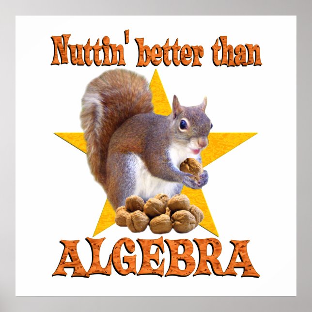 Póster Algebra Squirrel (Frente)