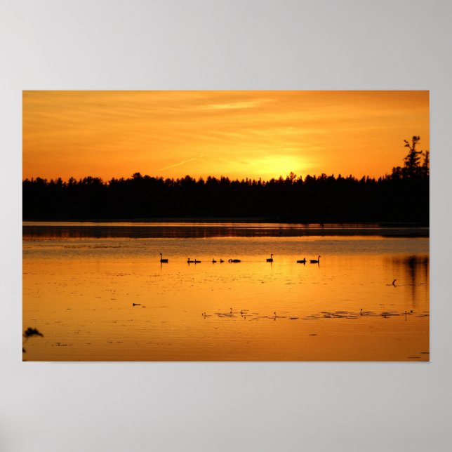 Póster Algo en el Naranja - Patos (Frente)