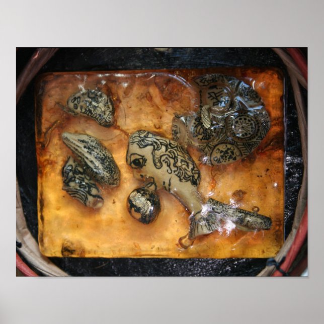 Póster Algo extraño atrapado en el Poster de resina ámbar (Frente)