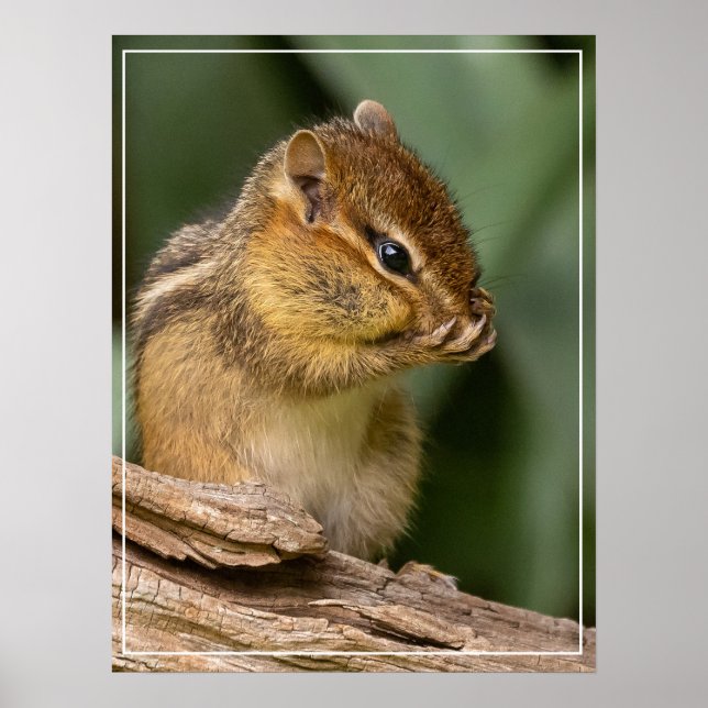 Póster Algo Huele Chipmunk (Frente)