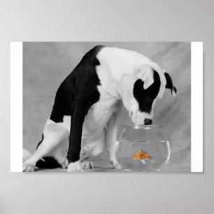 Póster ¿Algo para comer tal vez?