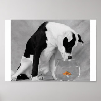 Póster ¿Algo para comer tal vez?