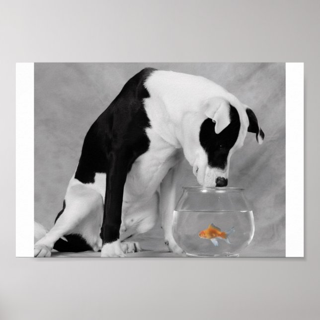 Póster ¿Algo para comer tal vez? (Frente)