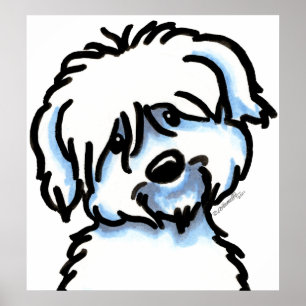 Póster Algodón blanco de Tulear Face