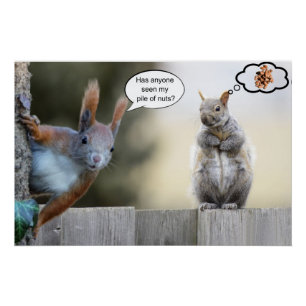Póster ¿Alguien ha visto mis nueces?