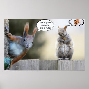 Póster ¿Alguien ha visto mis nueces?