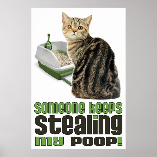 Póster Alguien sigue robando a mis amantes del gato de Po (Frente)