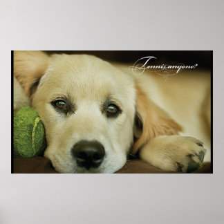 Póster ¿Alguien tiene tenis?