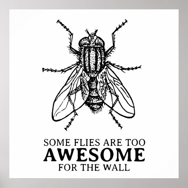 Póster Algunas moscas (Frente)