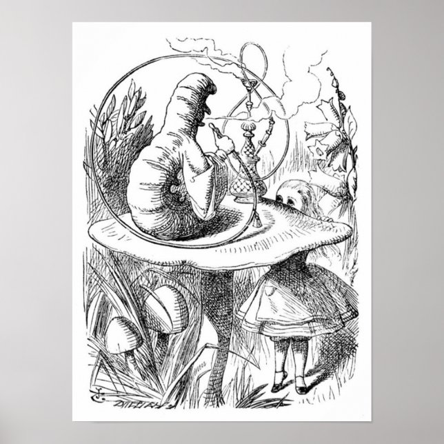 Póster Alice y la oruga (Frente)