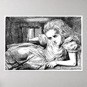 Póster Alicia en la casa del conejo blanco
